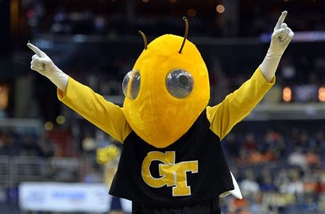 Georgia Tech Yellow Jackets basketball mascot